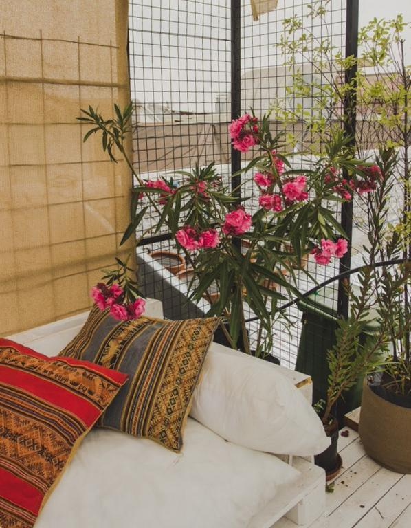 Patio Yungay Bed and Breakfast Σαντιάγκο Εξωτερικό φωτογραφία